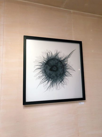 Kunstdruck: Geröngte Sonnenblume